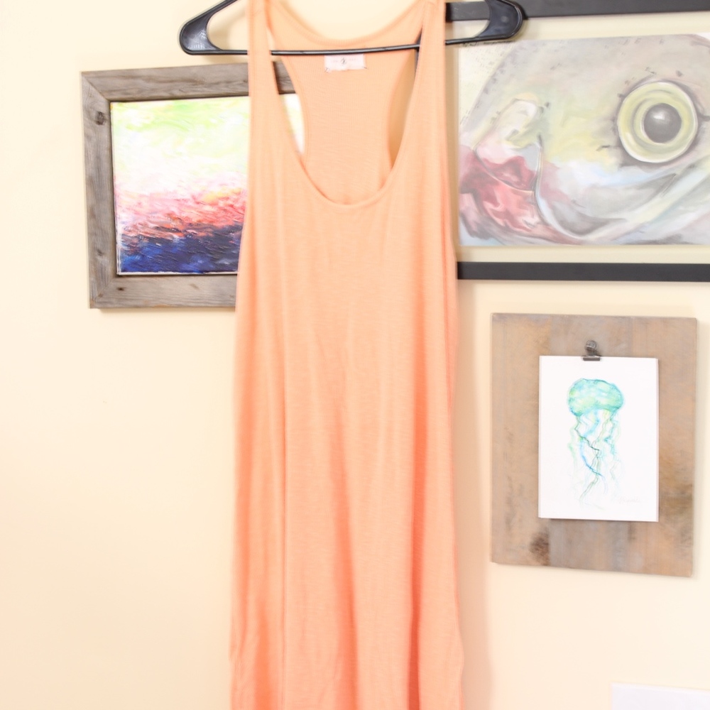 Lou and Grey Dress (Loft)